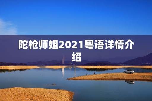 陀枪师姐2021粤语详情介绍