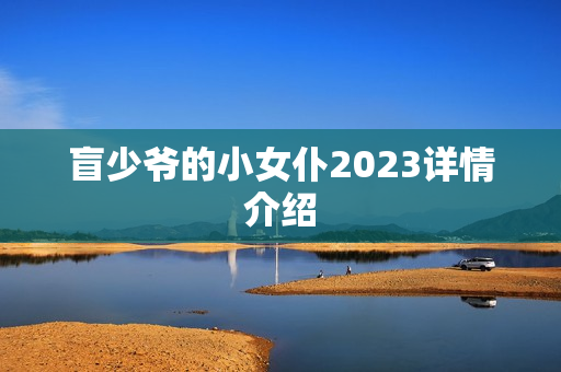 盲少爷的小女仆2023详情介绍
