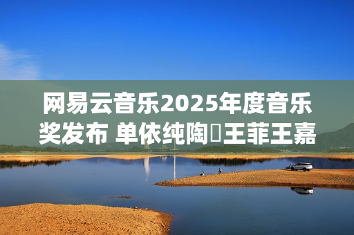 网易云音乐2025年度音乐奖发布 单依纯陶喆王菲王嘉尔汪苏泷杨丞琳梓渝等获奖(网易云音乐2025校招)