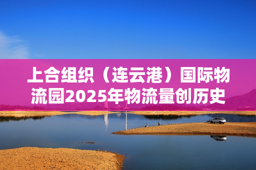 上合组织（连云港）国际物流园2025年物流量创历史新高