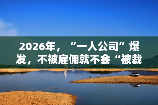 2026年，“一人公司”爆发，不被雇佣就不会“被裁”