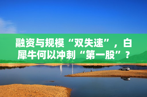 融资与规模“双失速”，白犀牛何以冲刺“第一股”？