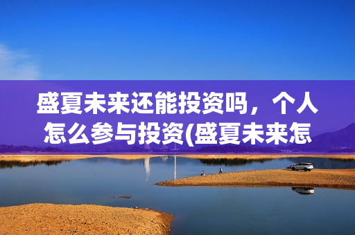 盛夏未来还能投资吗，个人怎么参与投资(盛夏未来怎么投资?)