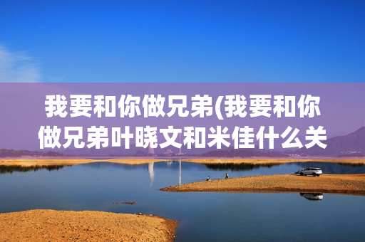 我要和你做兄弟(我要和你做兄弟叶晓文和米佳什么关系)