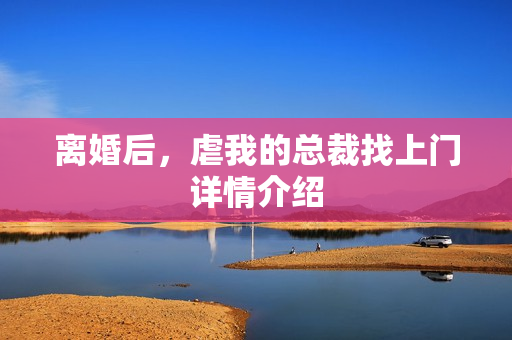 离婚后，虐我的总裁找上门详情介绍