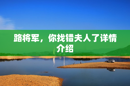 路将军，你找错夫人了详情介绍
