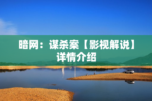 暗网：谋杀案【影视解说】详情介绍