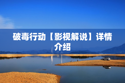 破毒行动【影视解说】详情介绍