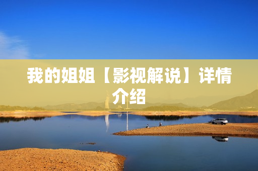 我的姐姐【影视解说】详情介绍