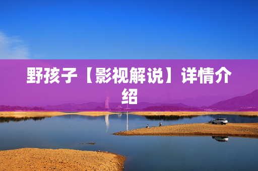 野孩子【影视解说】详情介绍