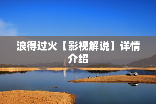 浪得过火【影视解说】详情介绍