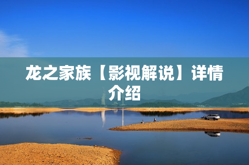 龙之家族【影视解说】详情介绍