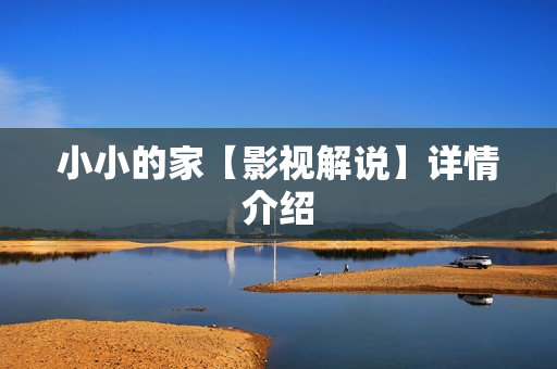 小小的家【影视解说】详情介绍