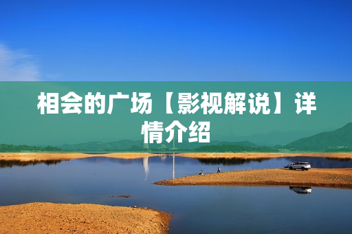 相会的广场【影视解说】详情介绍