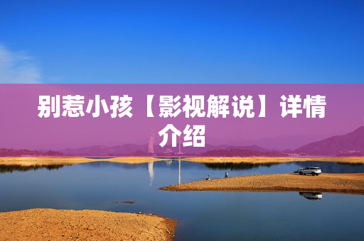 别惹小孩【影视解说】详情介绍