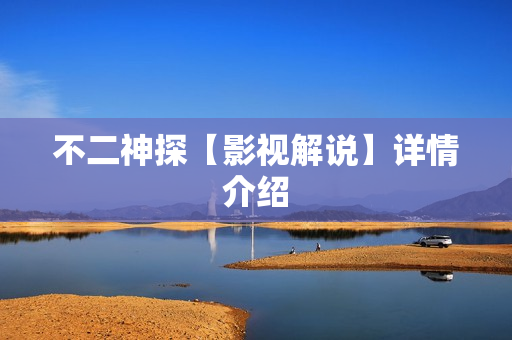 不二神探【影视解说】详情介绍