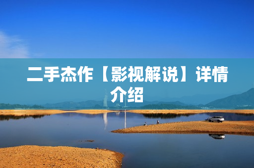 二手杰作【影视解说】详情介绍