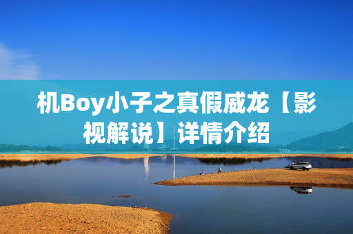 机Boy小子之真假威龙【影视解说】详情介绍