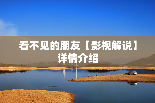 看不见的朋友【影视解说】详情介绍