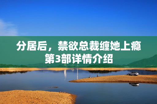 分居后，禁欲总裁缠她上瘾第3部详情介绍