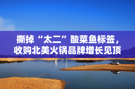 撕掉“太二”酸菜鱼标签，收购北美火锅品牌增长见顶的九毛九展开“自救”
