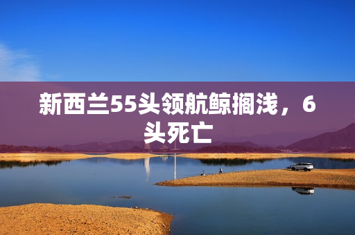 新西兰55头领航鲸搁浅，6头死亡