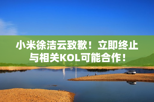 小米徐洁云致歉！立即终止与相关KOL可能合作！