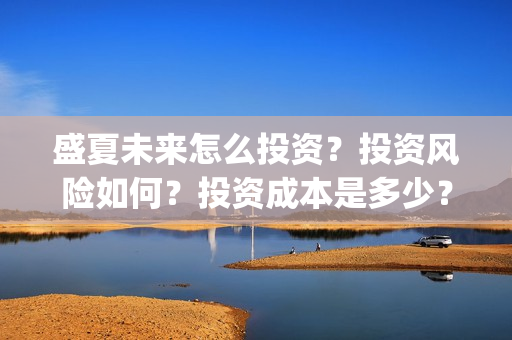 盛夏未来怎么投资？投资风险如何？投资成本是多少？(盛夏未来怎么投资)