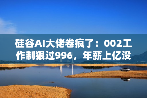 硅谷AI大佬卷疯了：002工作制狠过996，年薪上亿没时间花