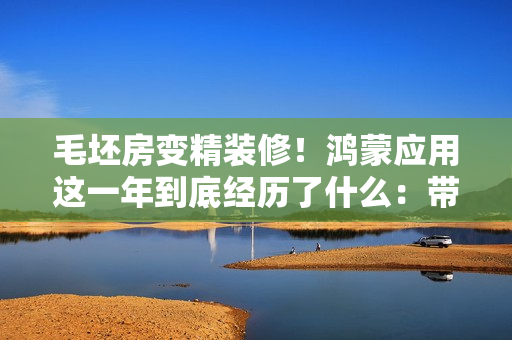 毛坯房变精装修！鸿蒙应用这一年到底经历了什么：带你们来感受下
