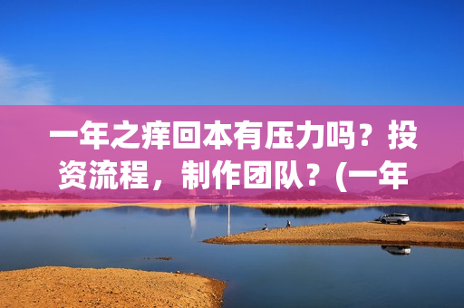 一年之痒回本有压力吗？投资流程，制作团队？(一年之痒2021)