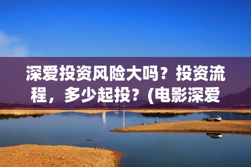 深爱投资风险大吗？投资流程，多少起投？(电影深爱投资人是谁)