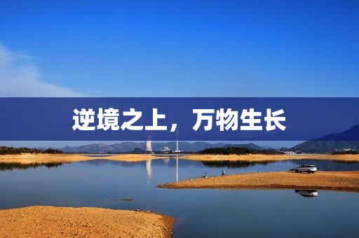 逆境之上，万物生长