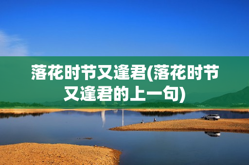 落花时节又逢君(落花时节又逢君的上一句)