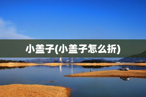 小盖子(小盖子怎么折)