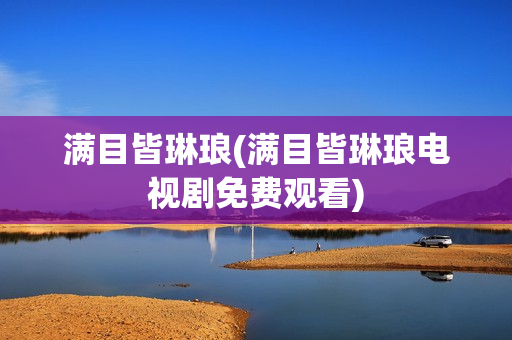 满目皆琳琅(满目皆琳琅电视剧免费观看)
