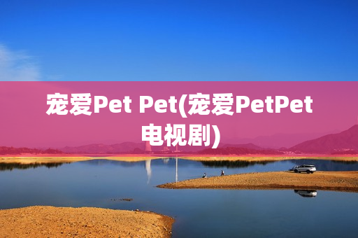 宠爱Pet Pet(宠爱PetPet电视剧)