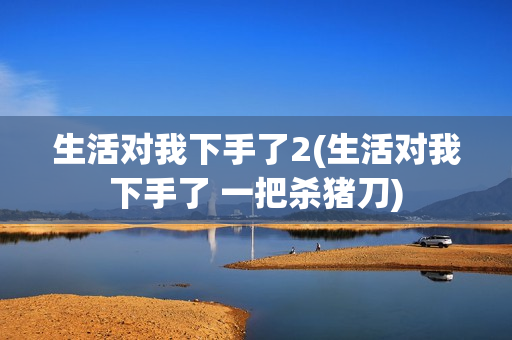 生活对我下手了2(生活对我下手了 一把杀猪刀)