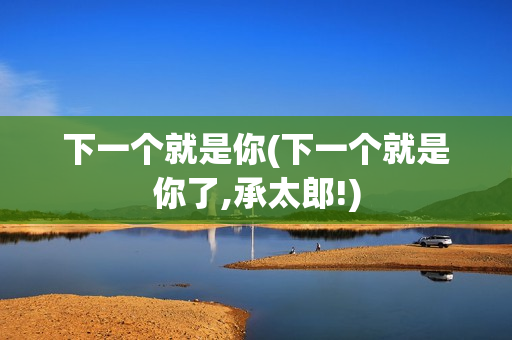 下一个就是你(下一个就是你了,承太郎!)