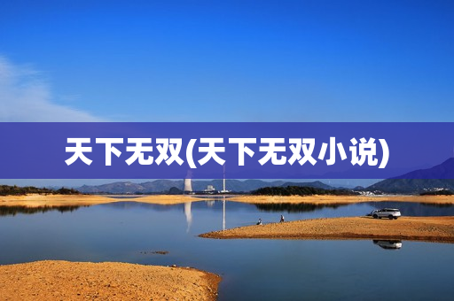 天下无双(天下无双小说)