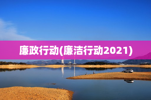 廉政行动(廉洁行动2021)