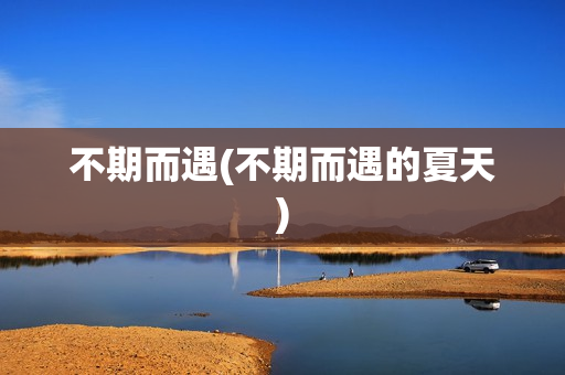 不期而遇(不期而遇的夏天)