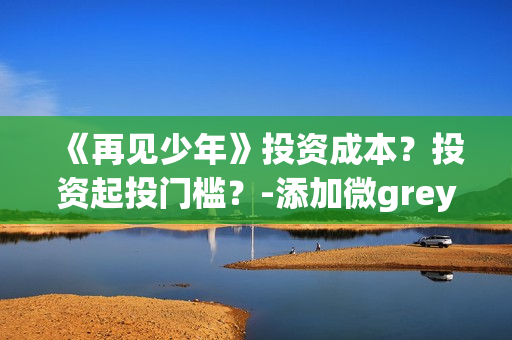 《再见少年》投资成本？投资起投门槛？-添加微grey121415(电影再见少年投资)