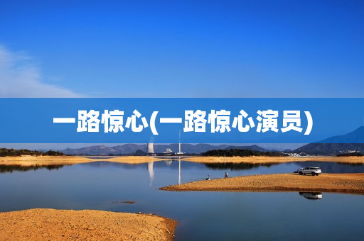 一路惊心(一路惊心演员)