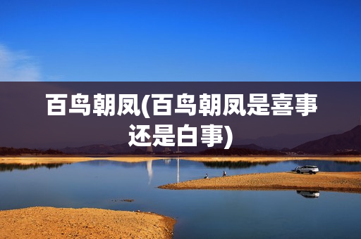百鸟朝凤(百鸟朝凤是喜事还是白事)
