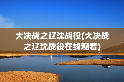 大决战之辽沈战役(大决战之辽沈战役在线观看)