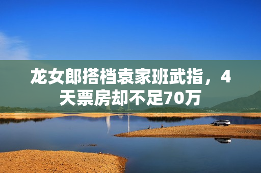 龙女郎搭档袁家班武指，4天票房却不足70万