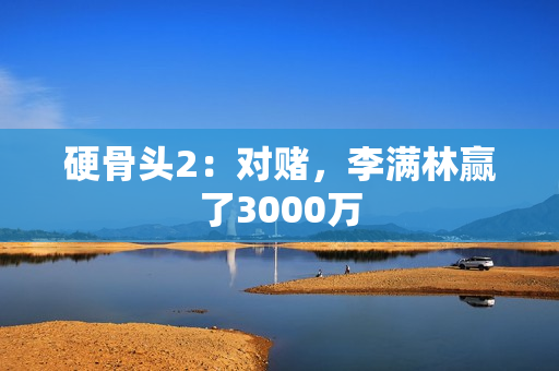 硬骨头2：对赌，李满林赢了3000万