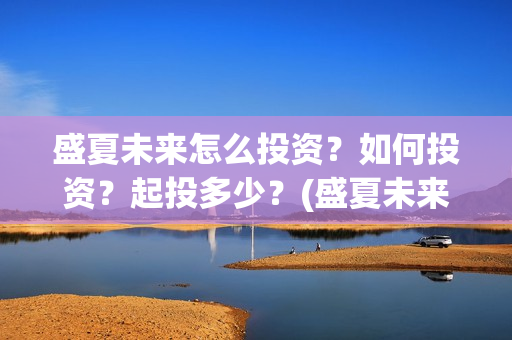 盛夏未来怎么投资？如何投资？起投多少？(盛夏未来怎么过审的)