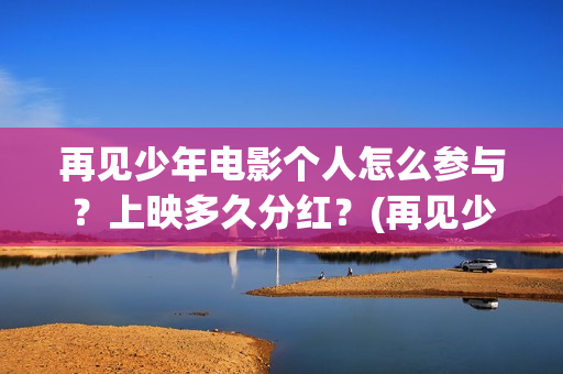 再见少年电影个人怎么参与？上映多久分红？(再见少年电影简介)